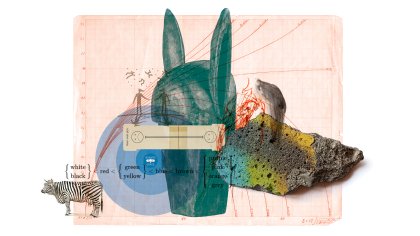 BORDERS | New Expo at GUM & Botanical Garden at GUM (Gents Universiteitsmuseum), Gent