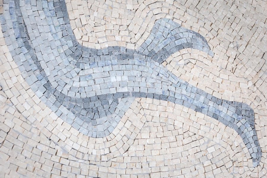 Riikka Anttonen: Vertere at SINNE, Helsinki