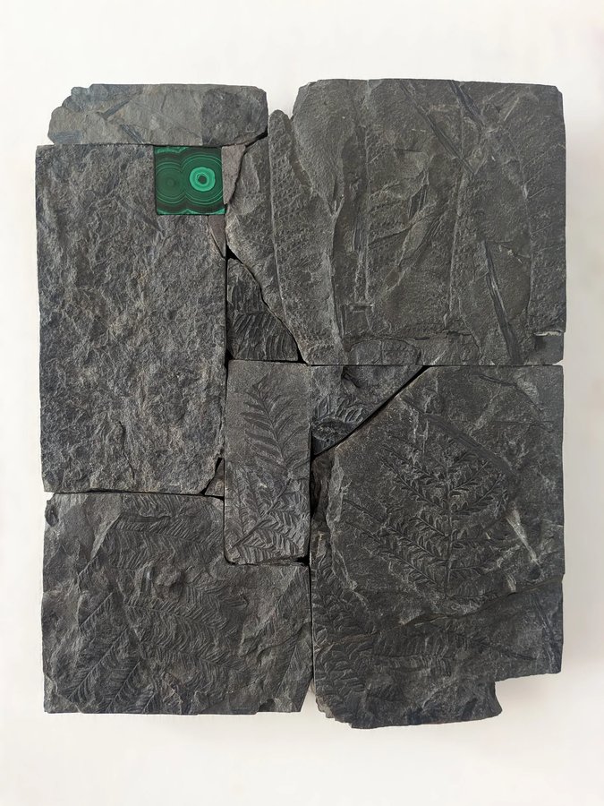 Group Exhibition "Un Jardin d'Hiver" curated by Sam Steverlynck at GNYP Gallery, Berlin