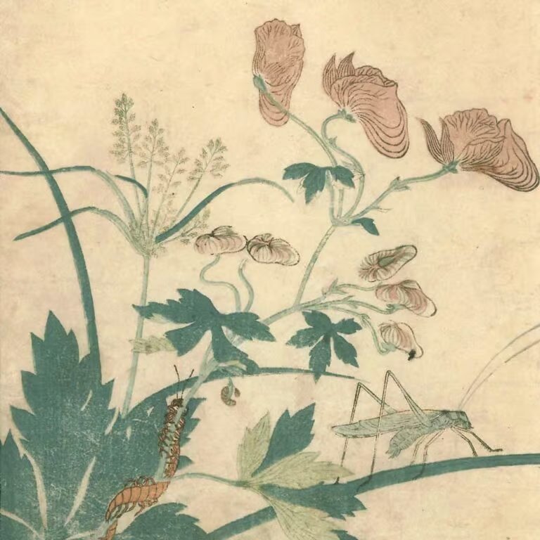 Songs of the Garden La poesia degli insetti at GALLERIA DELL'INCISIONE, Brescia