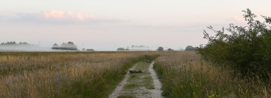 Into Nature: Haunted by Waters