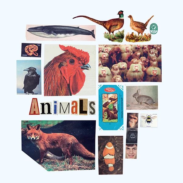 Animals at Centre Culturel Les Chiroux, Liège