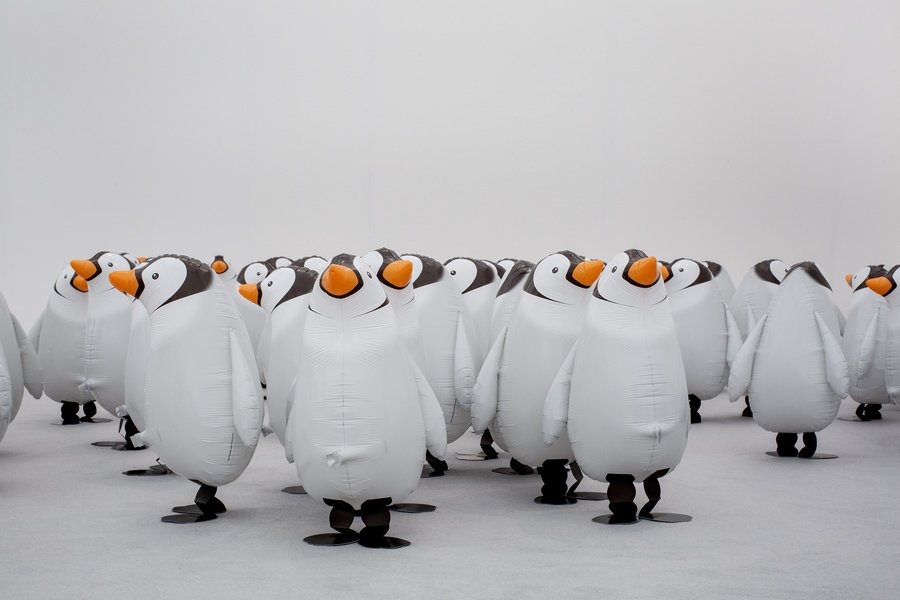Benedikte Bjerre: Pinguïns
