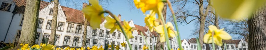 Safe and Secure: 800 Years of Fascinating History - Bruges Beguinage at Adornesdomein & Jeruzalemkapel, Brugge