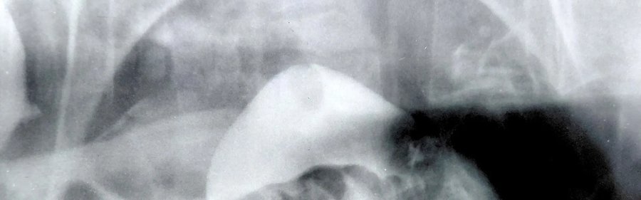 Catalogue of Disappearances Arjan Vanmeenen en acht kunstenaars