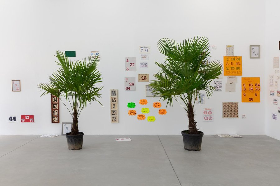 Le Palme at GALLERIA FRANCO NOERO | VIA MOTTALCIATA, Turin