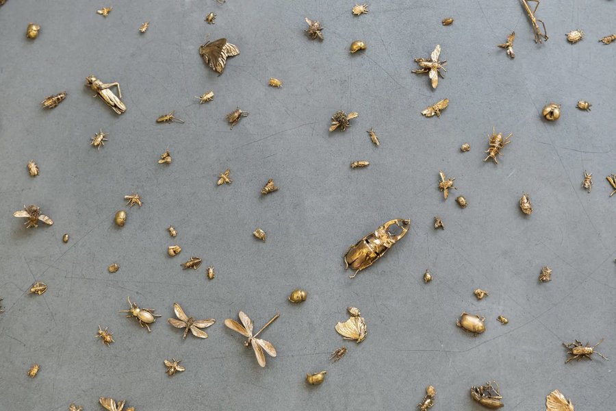 Verena Bachl: Graceful Degradation at BBA Gallery, Berlin
