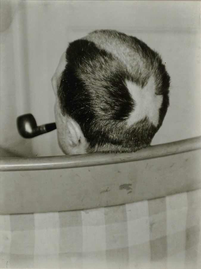 Marcel Duchamp: A Parisian Collection