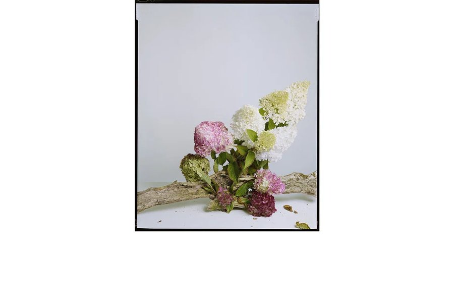 OFFSHOOT: Artists in Residence @ RHS Garden Bridgewater at OPEN EYE GALLERY, Liverpool