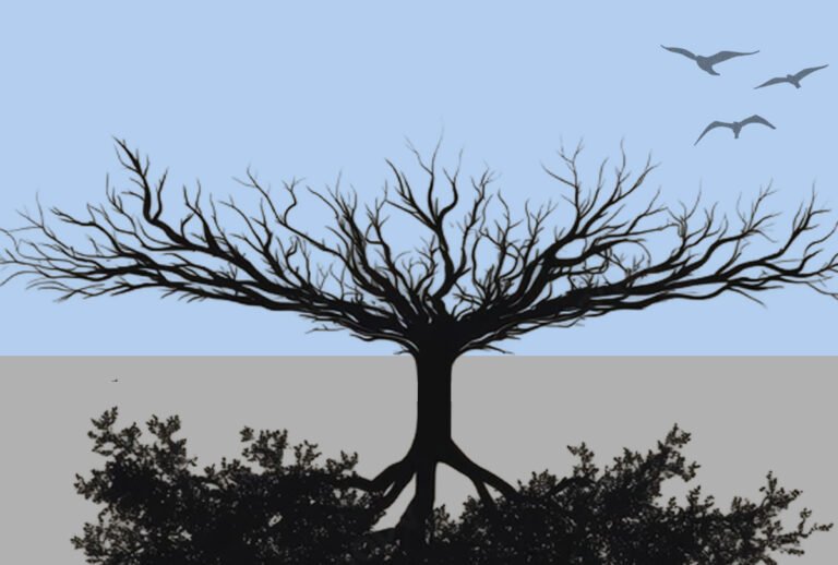 Luchtwortels – Feit en fictie in landschappen op hoogte