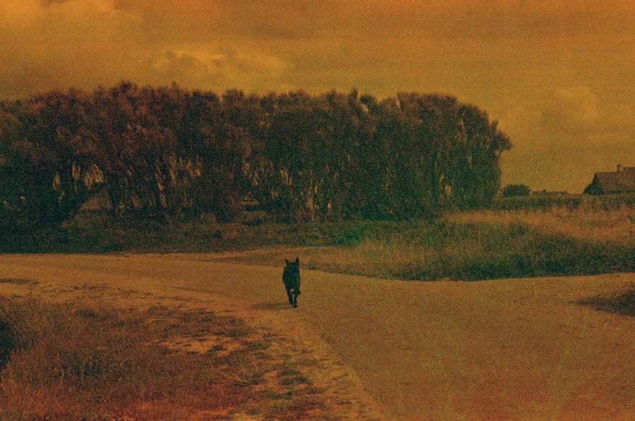 Nanténé Traoré — pays des merveilles at MEP – Maison Européenne de la Photographie, Paris