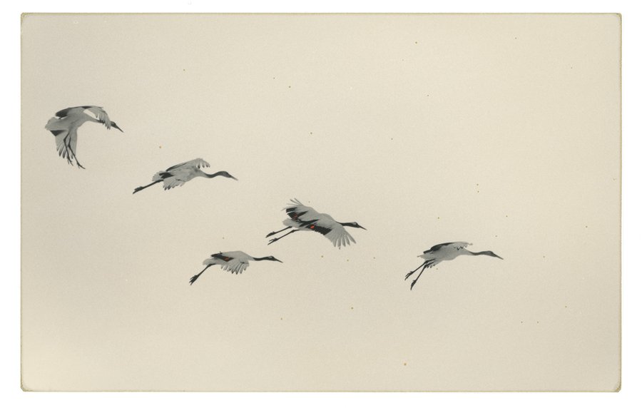 Yamamoto Masao at Centre d'Art et Photographie de Lectoure, Lectoure