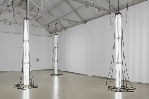 Sandra Baia | Cabeça de Cão at GALERIA FILOMENA SOARES, Lisbon