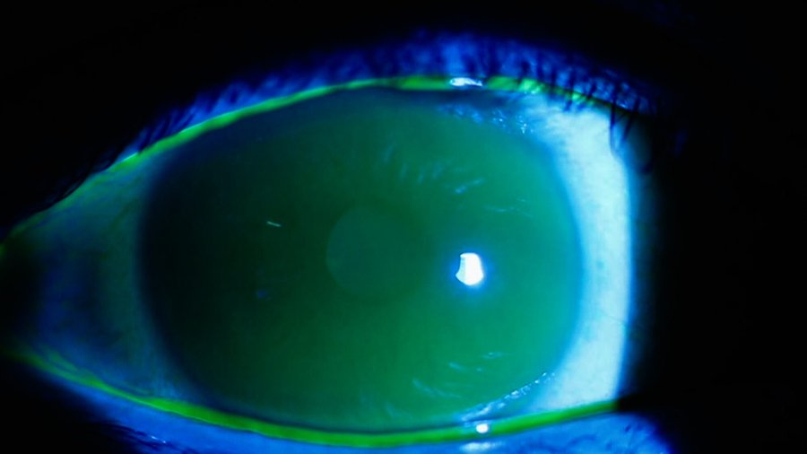 RED. A Love Letter at STADTGALERIE BERN, Bern
