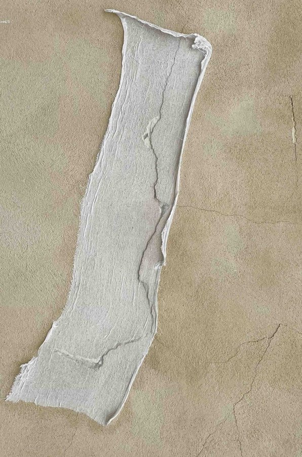 Cilia