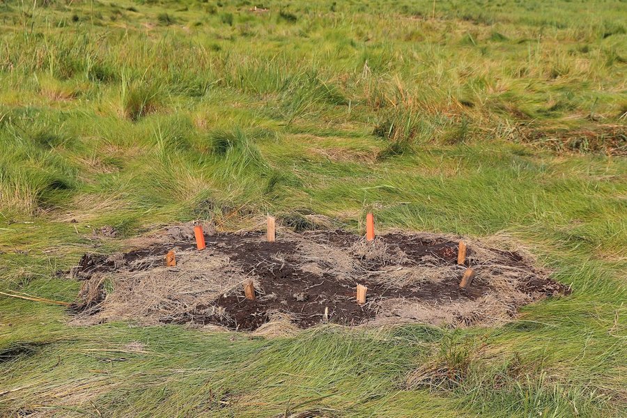 Flux and Flow: The Great Marsh at KINGSTON GALLERY, Boston