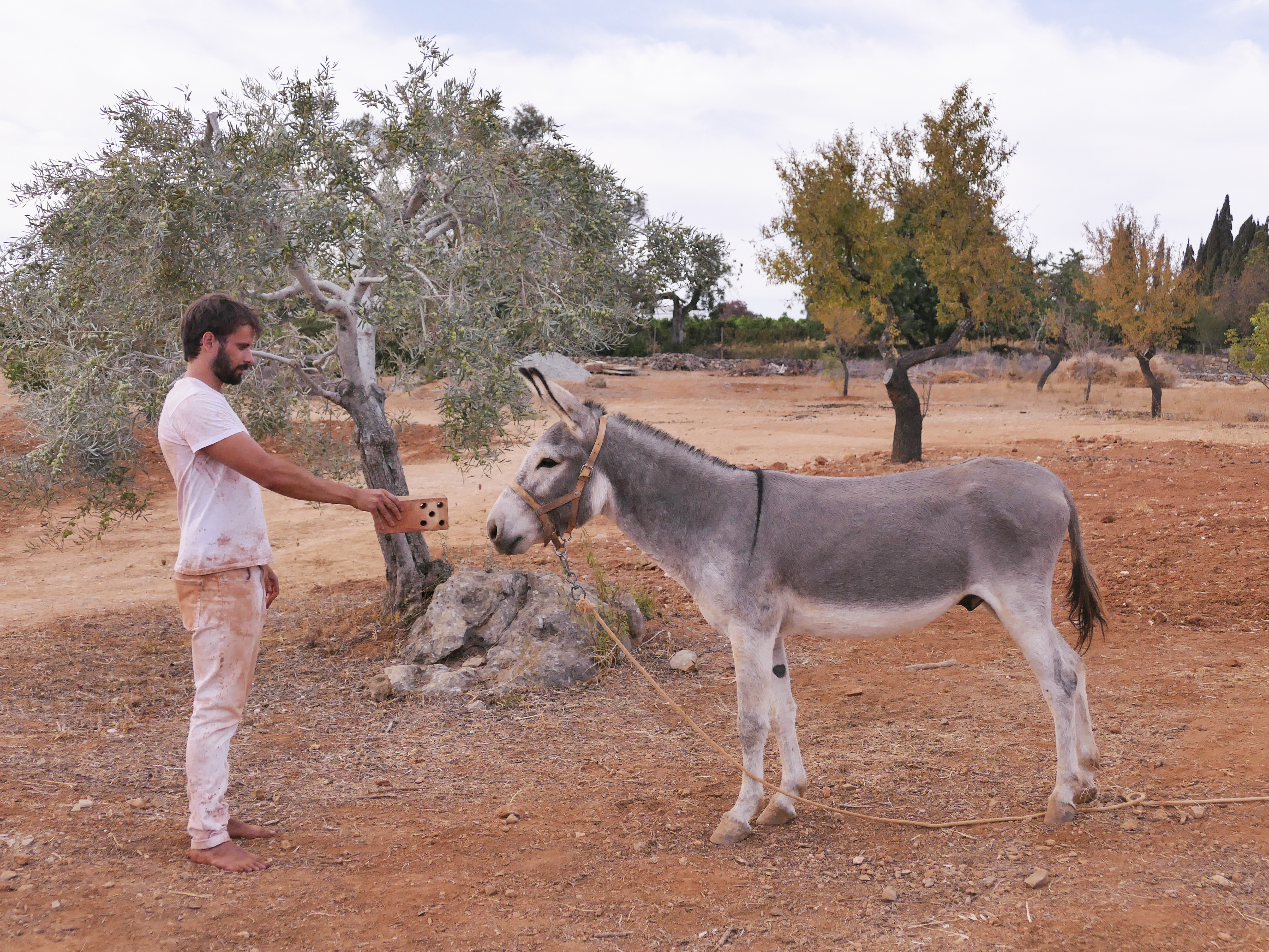 Os Espacialistas + Gonçalo M. Tavares REBUSSADOS II at CARLOS CARVALHO ARTE CONTEMPORÂNEA, Lisbon