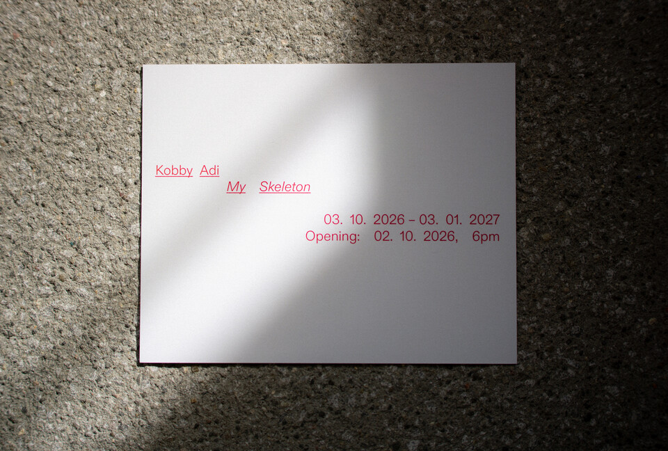 Kobby Adi. My Skeleton at Portikus, Frankfurt am Main